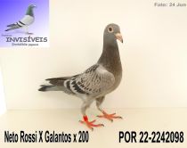 POR 22-2242098